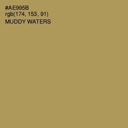 #AE995B - Muddy Waters Color Image